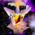 /album/demostracion/corazon1-jpg/