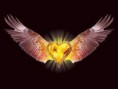 /album/demostracion/corazon22-jpg/